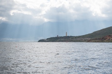 1481557