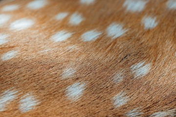 BD4E88D7-A905-4DF0-A0BB-F8010A9C69F3/L0/001