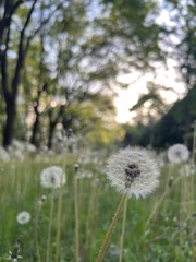 B0C2E3DC-ECFF-4306-A9ED-DD9B82CB6743/L0/001