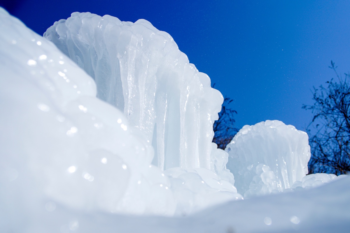 冰- 德证菩提 - 图虫