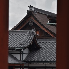 62A069CF-6AA3-4269-BE48-121A4B254E2B/L0/001
