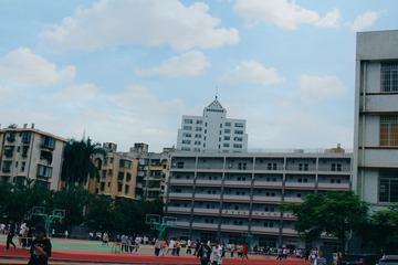 3824453