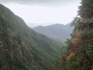 22011