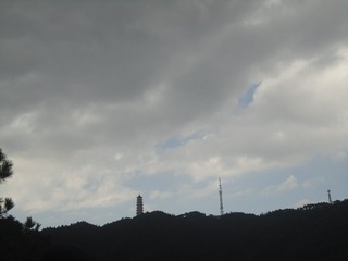 22009