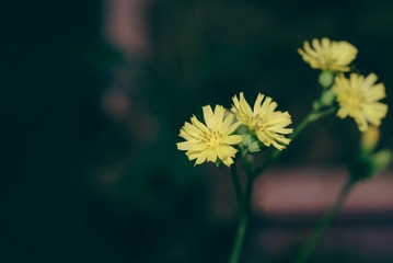 DF29D611-D6E4-4034-AC95-152DF771DB6C/L0/001