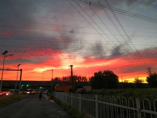 5866673