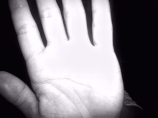 1000106427