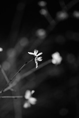 1925B814-AE38-4345-98F4-AFD9514343B7/L0/001