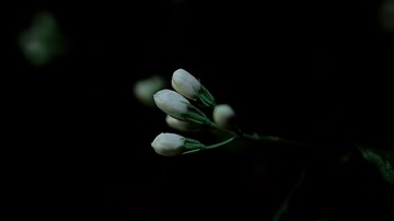 C77145B7-C728-429F-9395-833C933E9943/L0/001