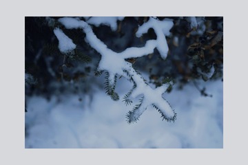 CA14E074-7551-41EE-A766-ACCE75D6152B/L0/001