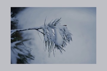 AA853C91-1F32-44C3-B2DA-5E28D1994945/L0/001