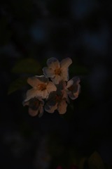 94895412-21EC-4DA5-917D-A3DB9879C1F4/L0/001