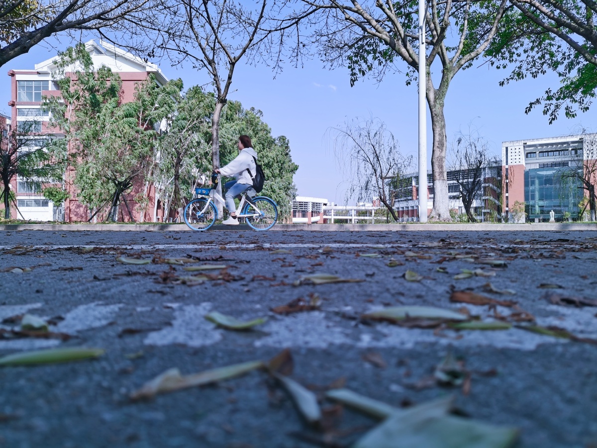 捕捉校园日常的美丽瞬间