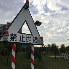 Optional(