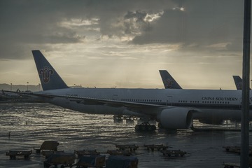 491261