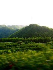 A449AC0E-1F72-46F1-A776-0691FADA815C/L0/001