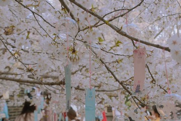 B13D434C-33B4-4AFE-BD03-BAAEB7645D07/L0/001