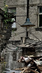 DSC09985-01