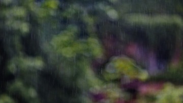 _DSC9955