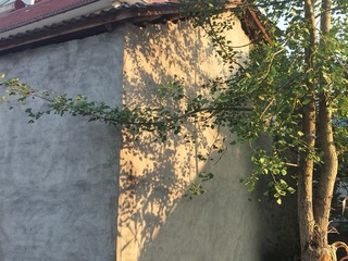 1000151669