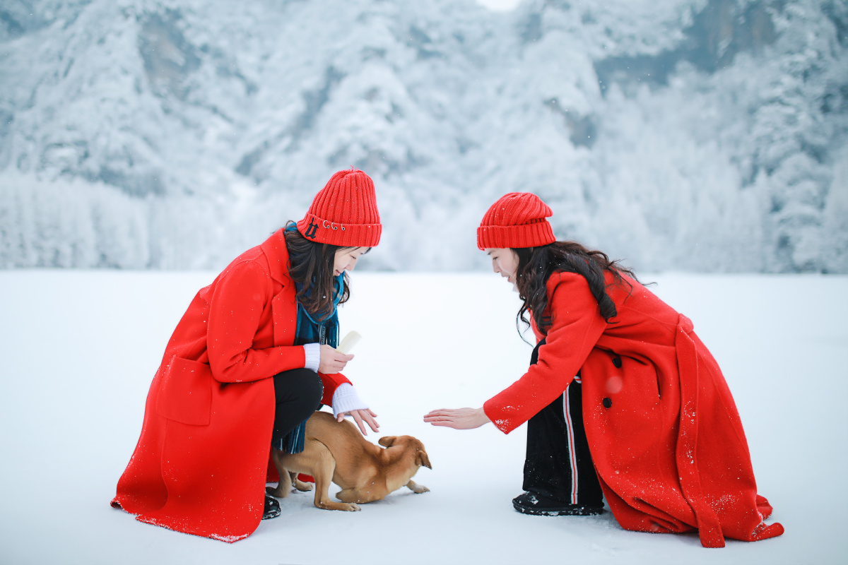 天行者 唯美人像摄影 - 图虫