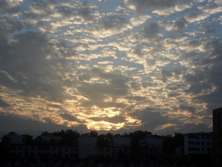 A7030584-A871-48E1-A51E-A2748FA26DF6/L0/001