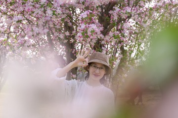 风华正茂