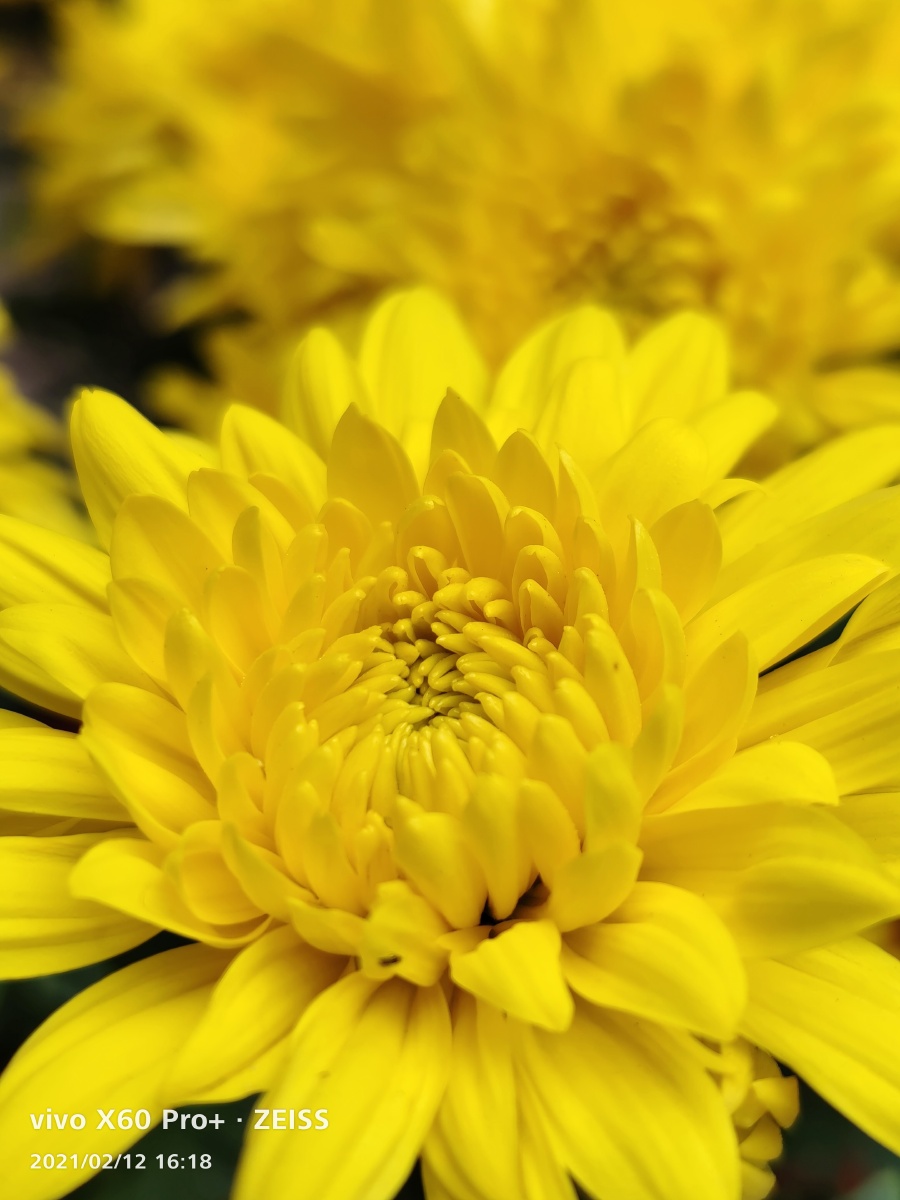 900_1200竖版 竖屏