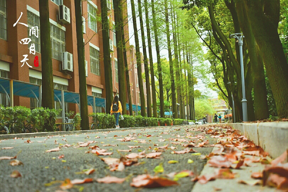 学校一角 不会旋转了.