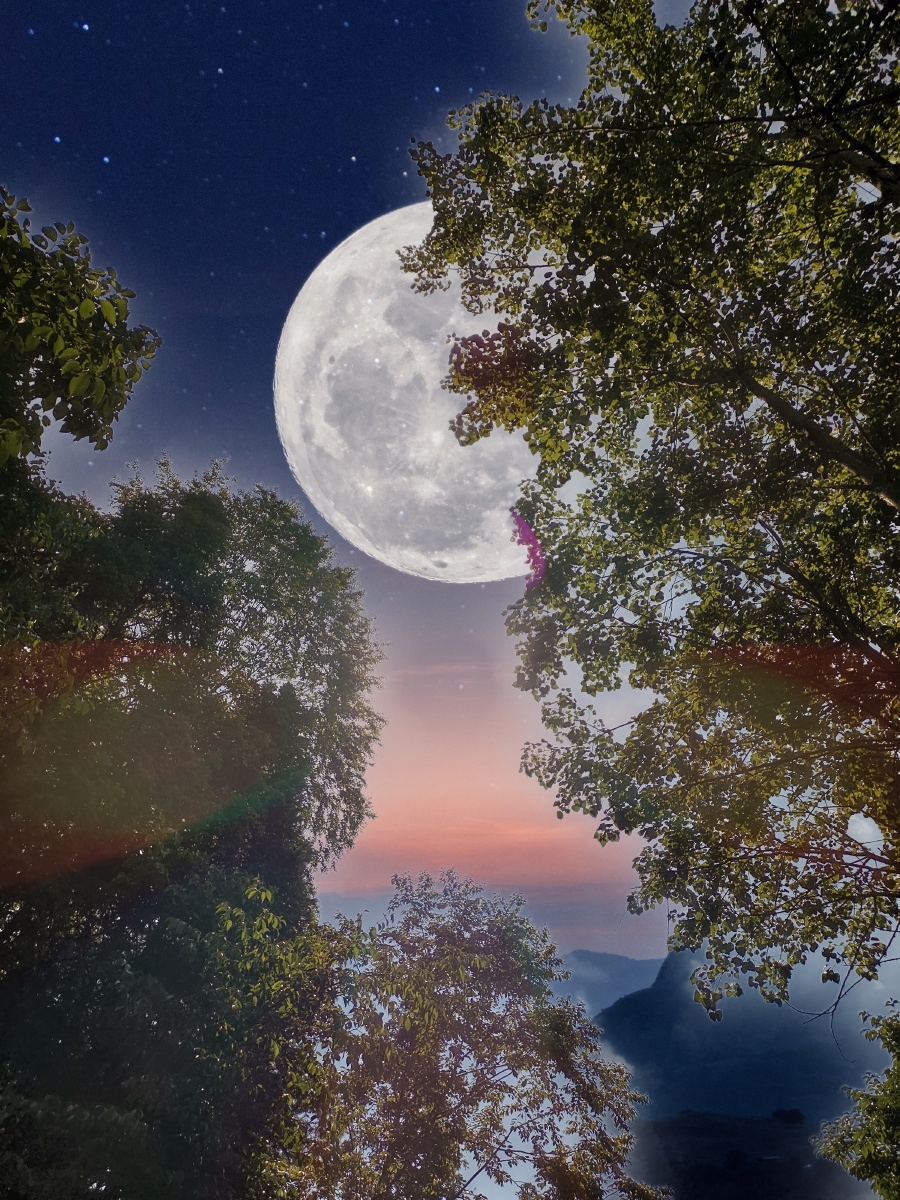 月色- jixt摄影 - 图虫