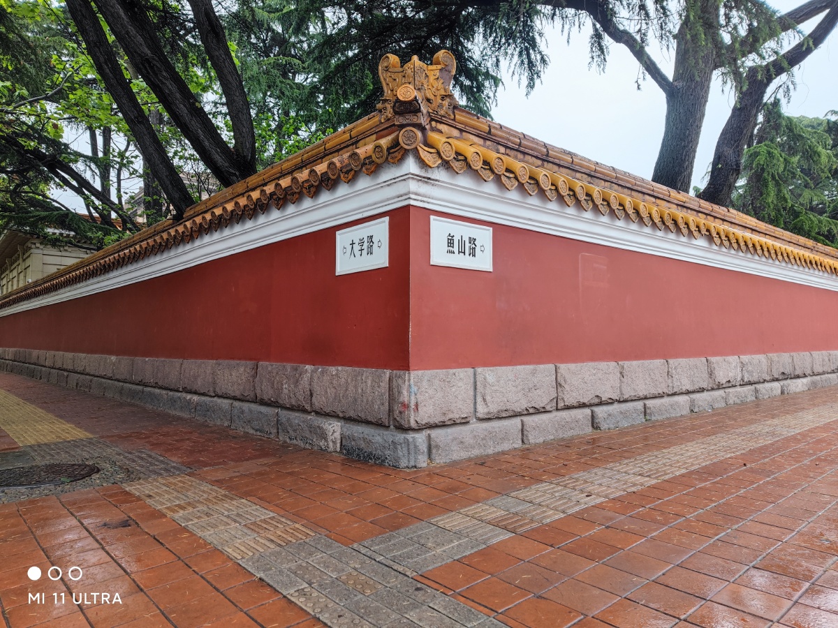 青岛大学路网红墙你找好久了吧唯一没有人的高清素材