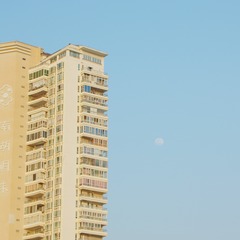 3769852