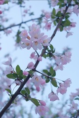 C1F500B6-A7B2-4C3E-A156-47EDF85CD5F5/L0/001