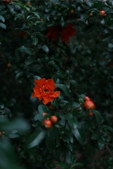 82E9849E-2FEB-46D8-98F0-7154F956CBCE/L0/001