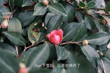 4E2FED06-A006-46F1-A8A9-6D47169E73CB/L0/001