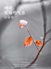 F3005BC1-32AB-4B53-84B9-EC458E93A45D/L0/001