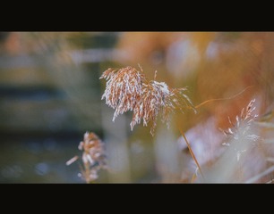 4192C0BA-B3E8-4480-9B63-19BF66AF876C/L0/001