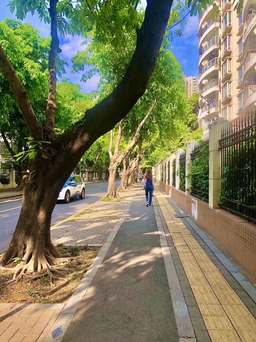 天丽镜头手机镜头标题影作者天丽陈班长地点深圳福田园岭四街时间