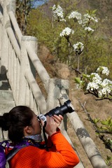 DSC09062_