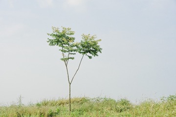 6191