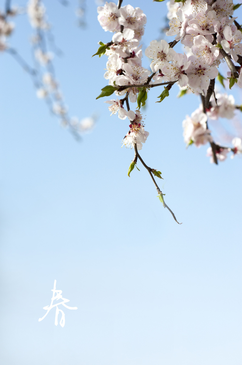 798_1200竖版 竖屏