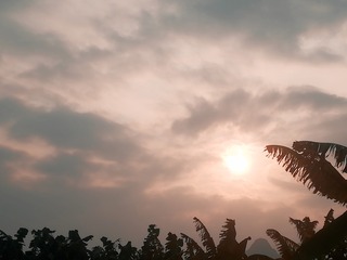 80628