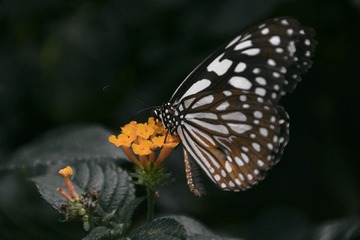 1669989