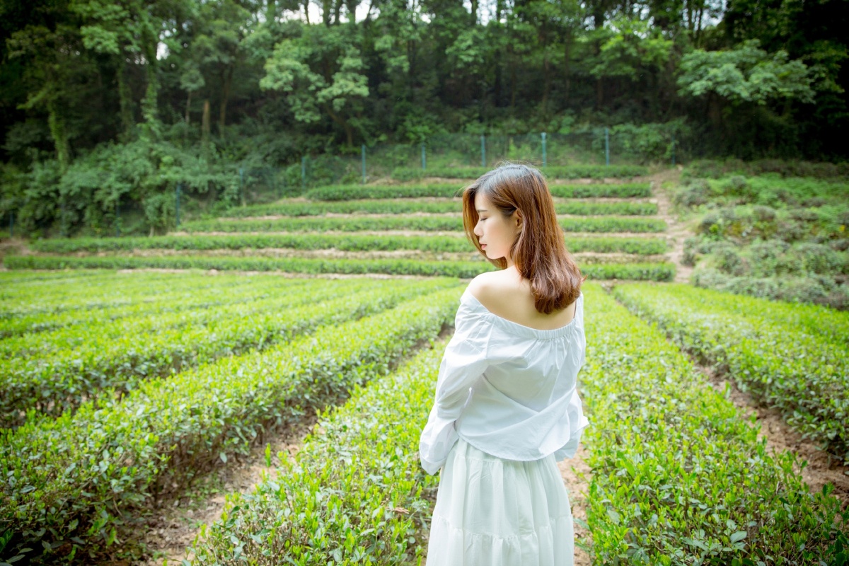 清风徐来 水波不兴 - 忆日烬 - 图虫网 - 最好的摄