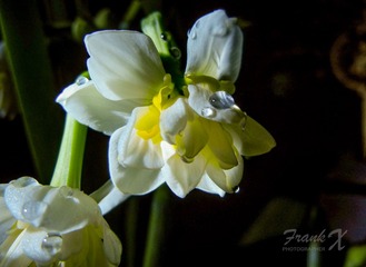 1D3DD9C2-1905-4573-89D9-67EA04AA408F/L0/001