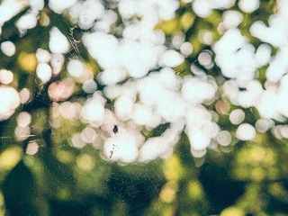 E392E67E-C198-4CD7-A663-6707E1F329DB/L0/001