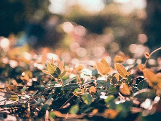 156386A2-ED02-4E01-9FA3-2CDDD8D790CD/L0/001