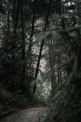 201208