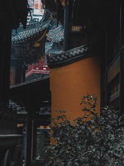26028