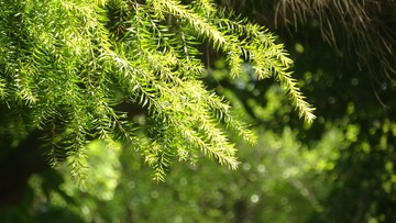 82F1F4D0-97EA-4F2A-8D71-14F211992042/L0/001